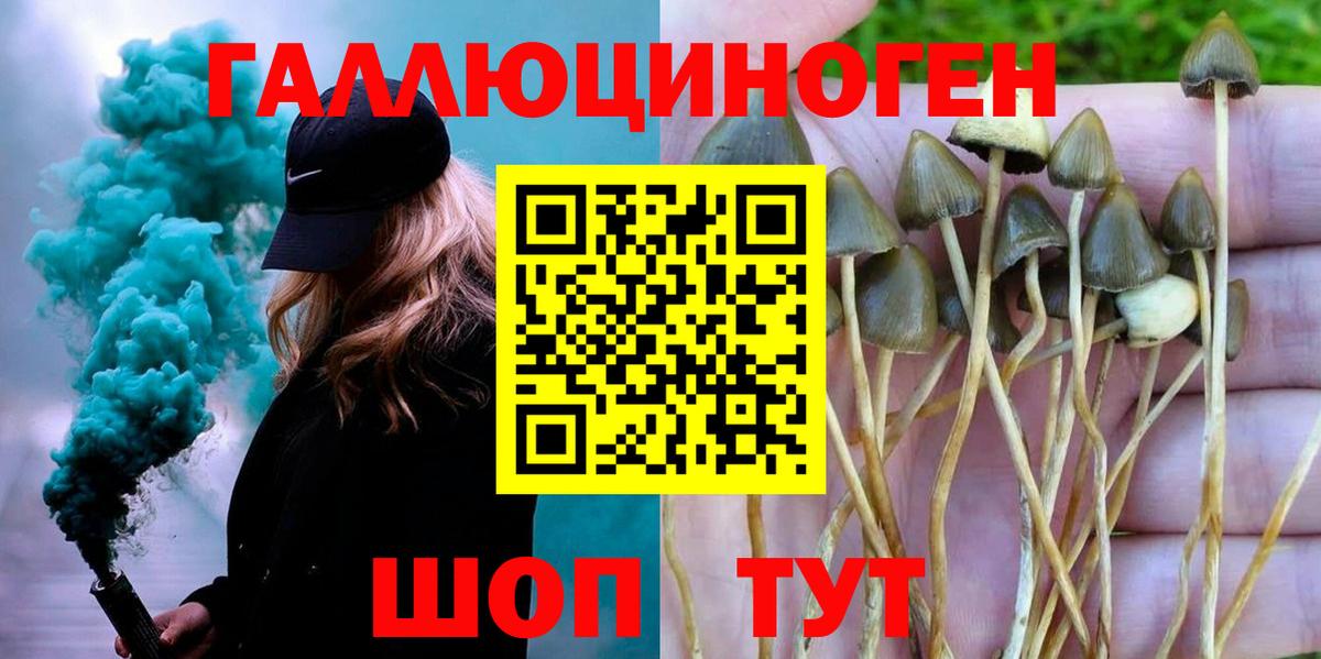 Елец  Галлюциногенные грибы мицелий  Вход с VPN 