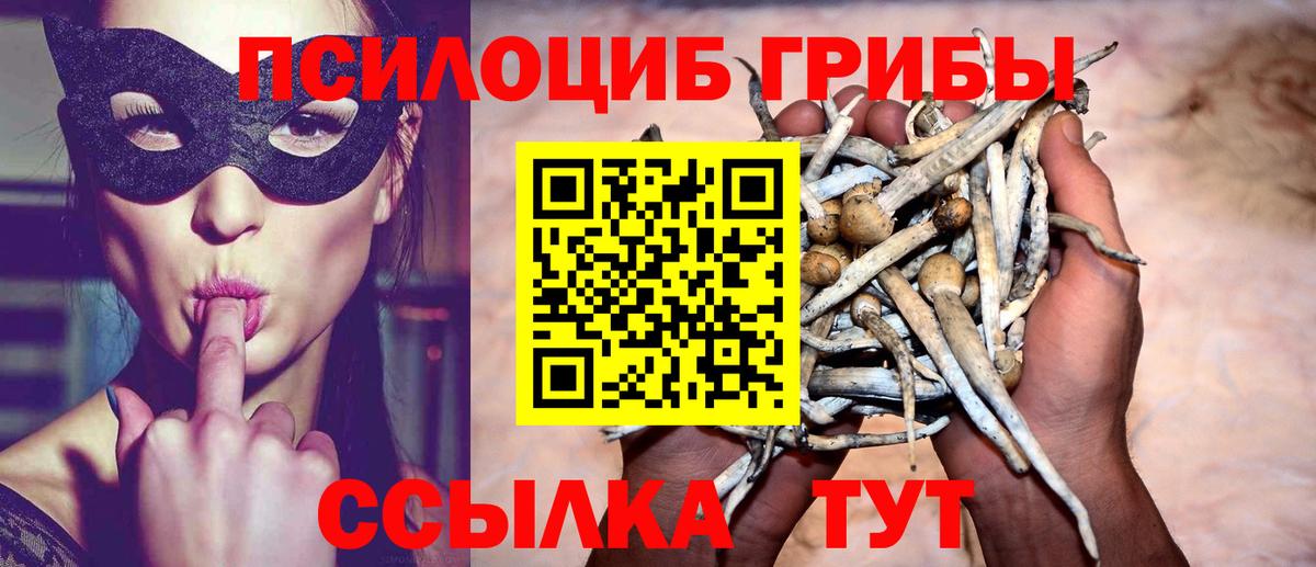 Псилоцибиновые грибы Magic Shrooms Елец